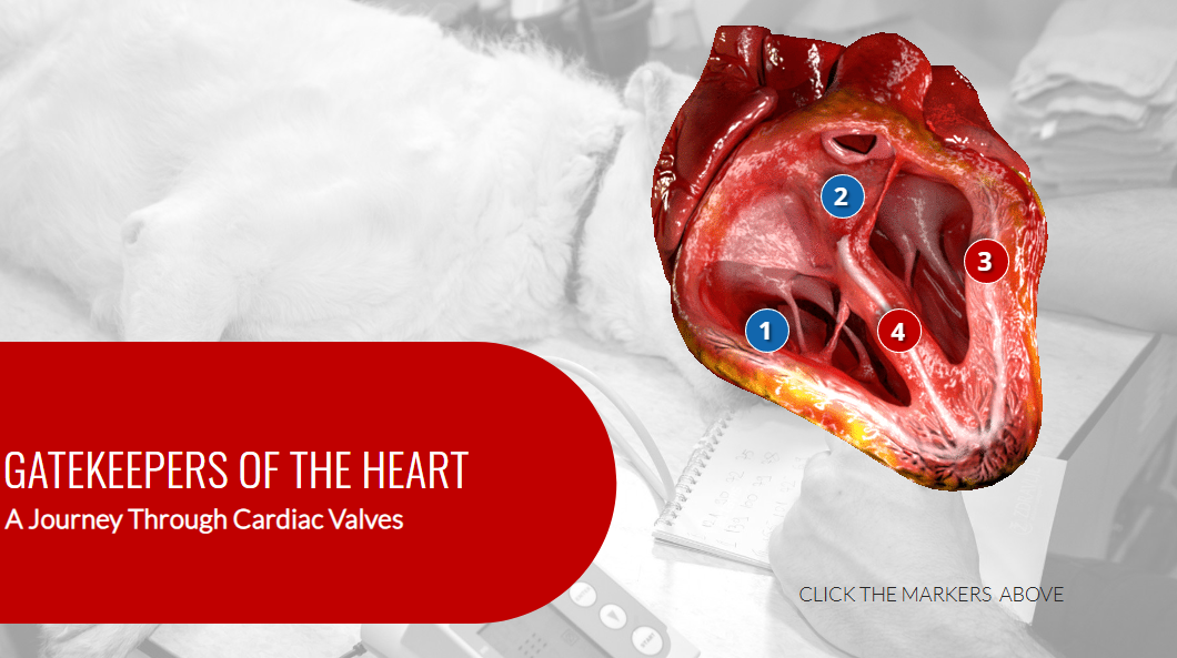 Gatekeepers of the heart